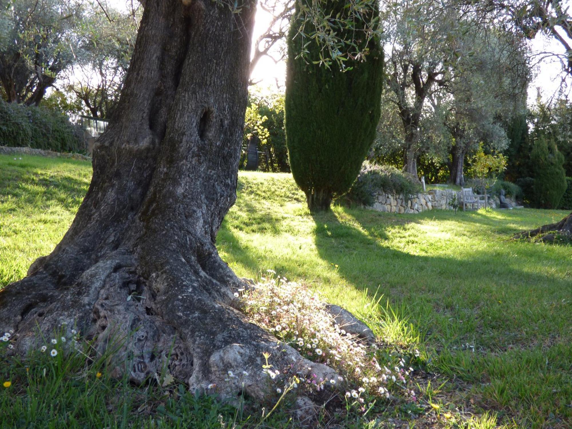 Apartment Cezanne With Heated Pool And Private Garden Chateauneuf-Grasse Exterior foto